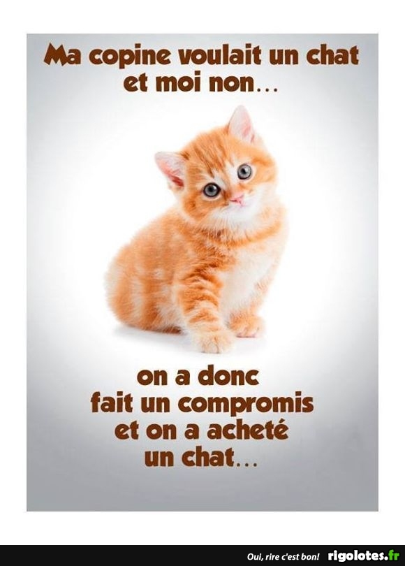 Chat Photos Humour
