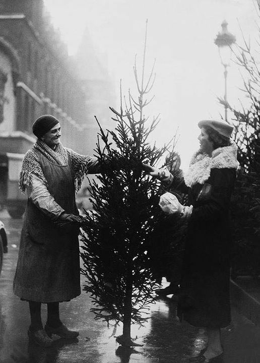 £ Acheter un sapin de Noël, 1933. - Photos Droles